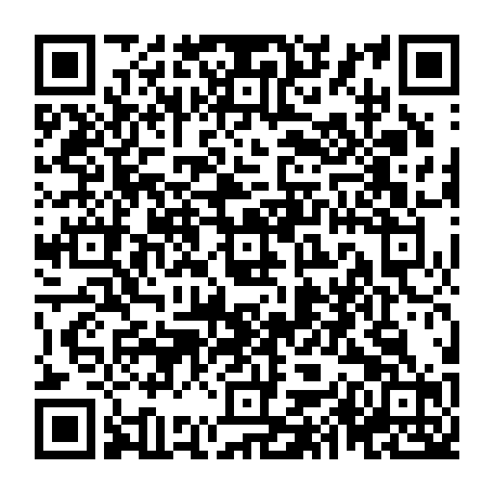 79300720411