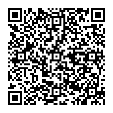 79300911675