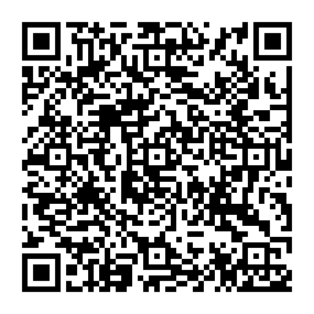 79307400499