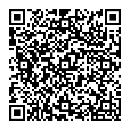 79310002955