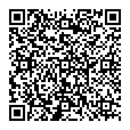 79310003811