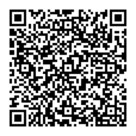 79311000381