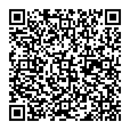 79319500619