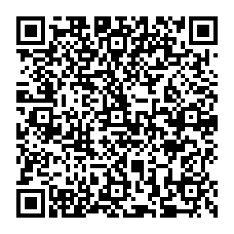 79335541536