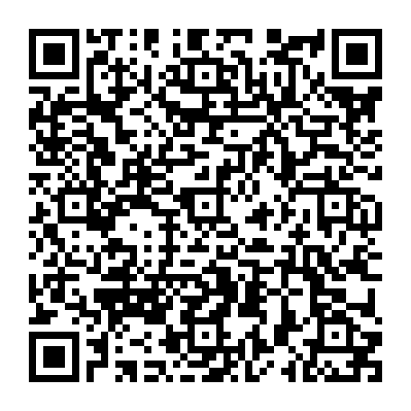 79335541571