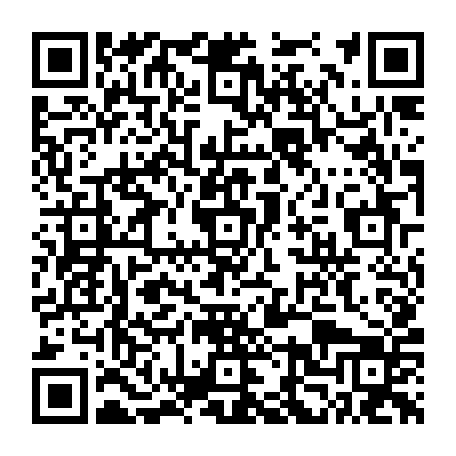 79335541653