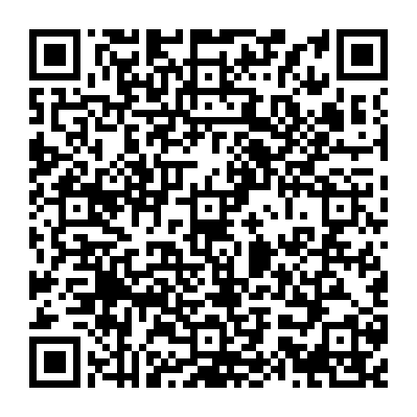 79335544164