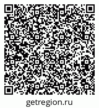 79374008355