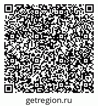 79379120295