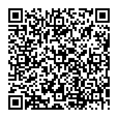 79382000736