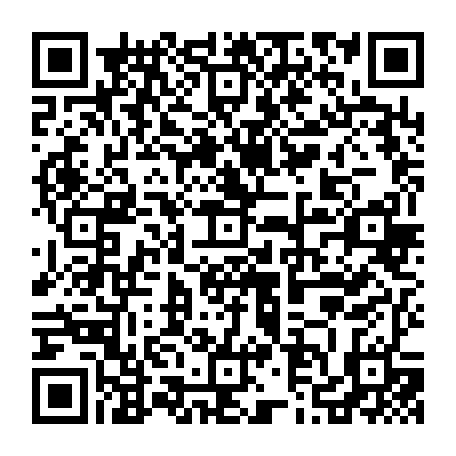 79383312771