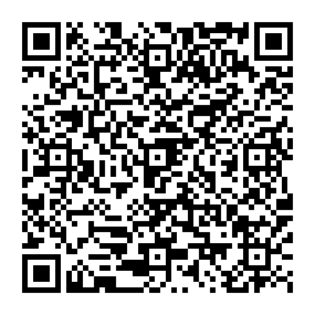 79384002882