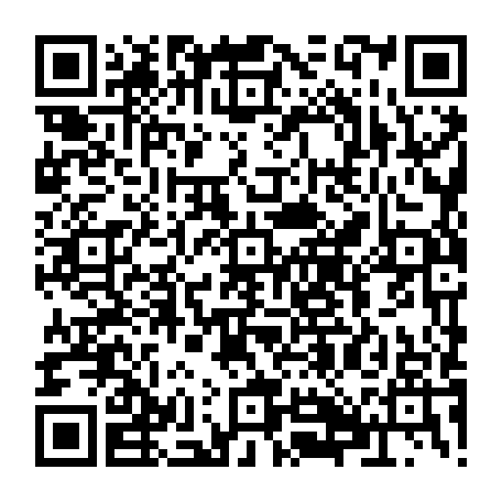 79384003231