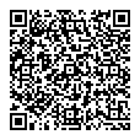 79384004117