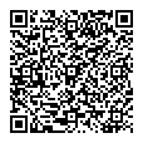 79384176954