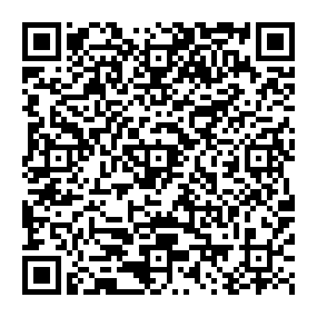79410101833
