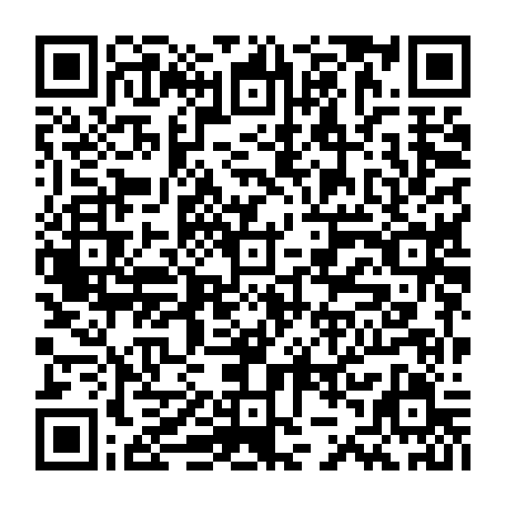 79411601333