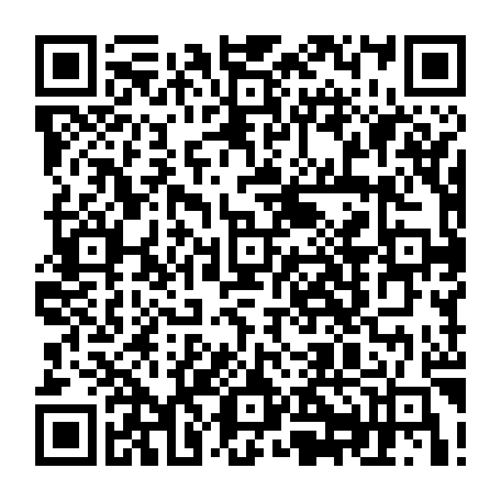 79504807981