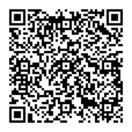79504808041
