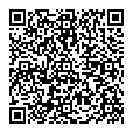 79504969217