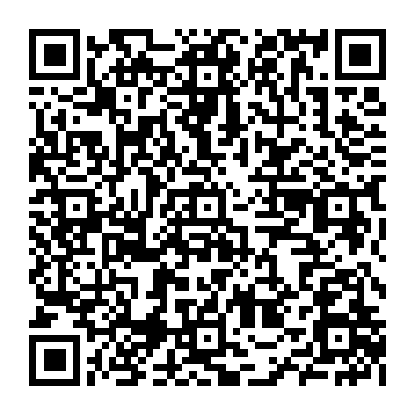 79504972384