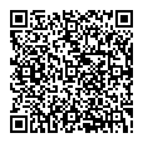 79504979231
