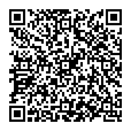 79504979260