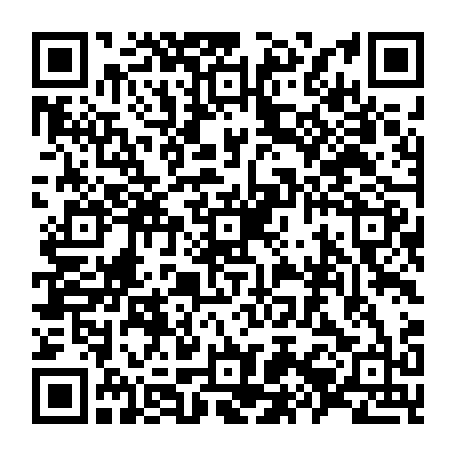 79504979408