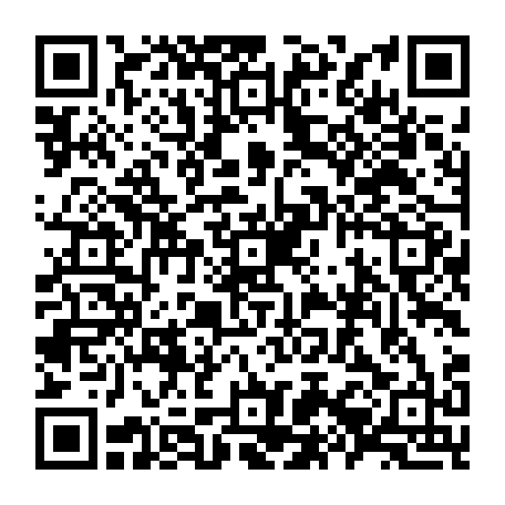 79504979417