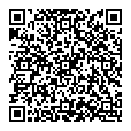 79504996879