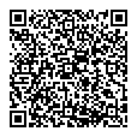 79504997055