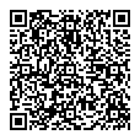 79504997294