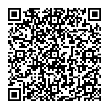 79504998071
