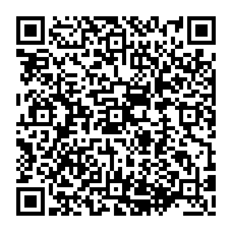79504998088