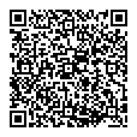 79504998124
