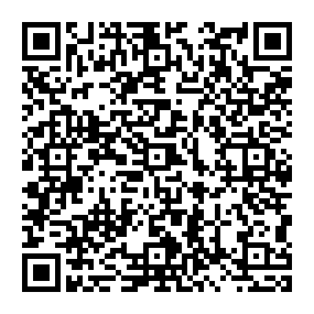 79504998216