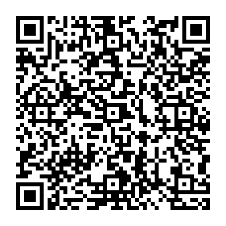 79504998234