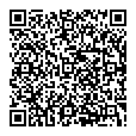 79504998282