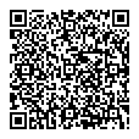 79504998334