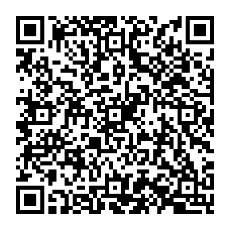 79504998335