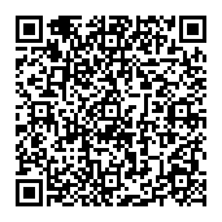 79504998382