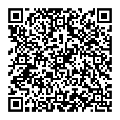79504998520