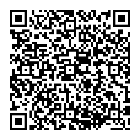 79504998557