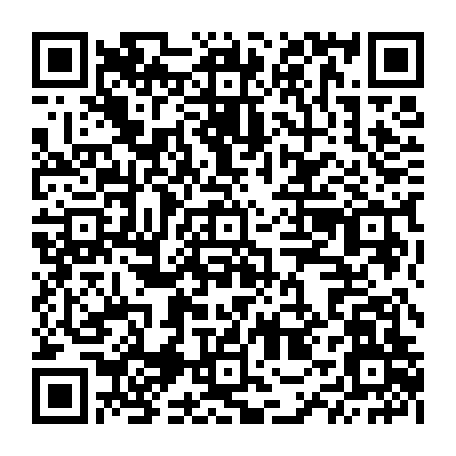79504998594