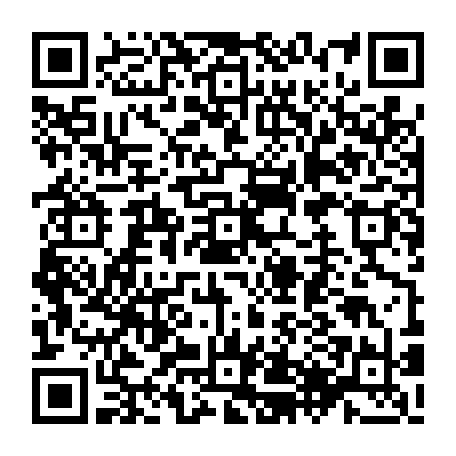 79504998754