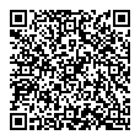 79504998803