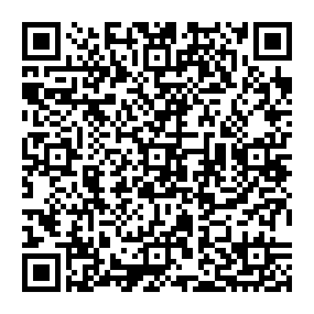 79506004911