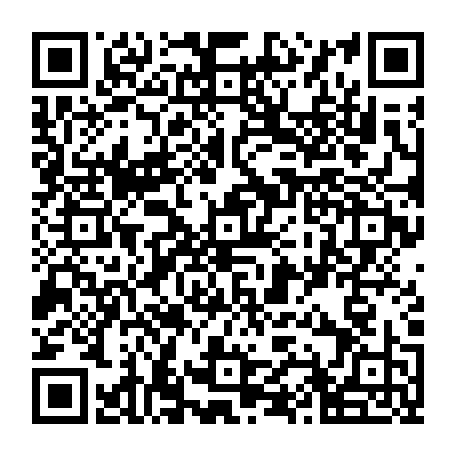 79506293811