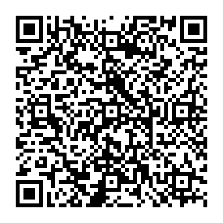 79506295293