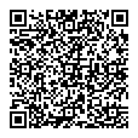 79506295333